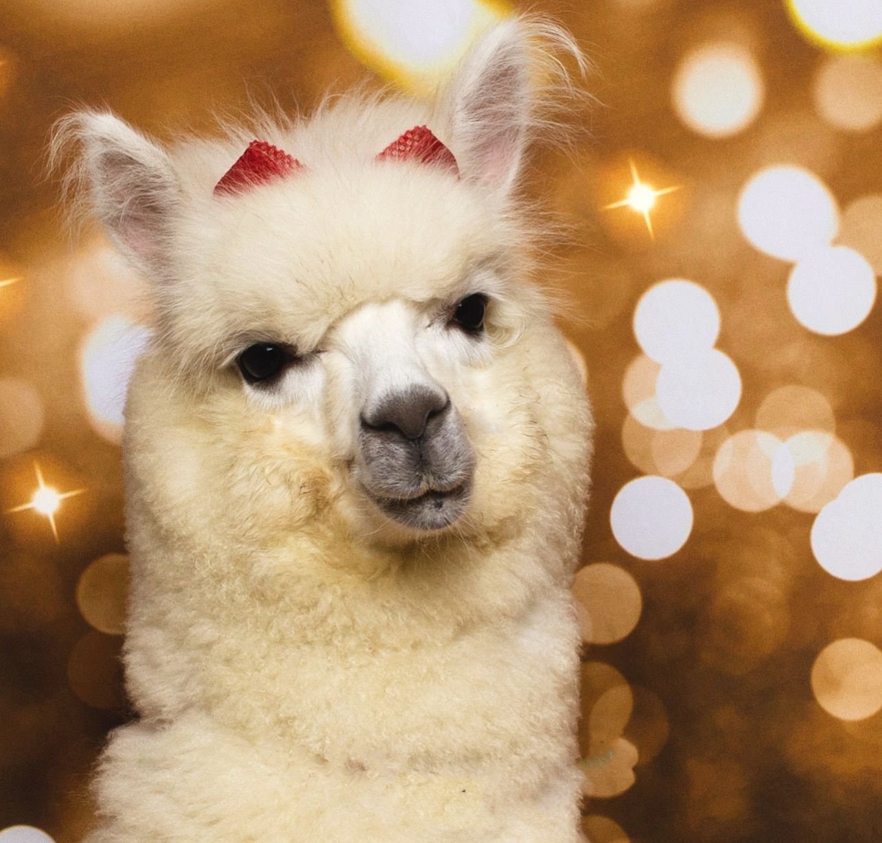 WhatsApp Image 2024-05-14 at 18.06.09 (2)