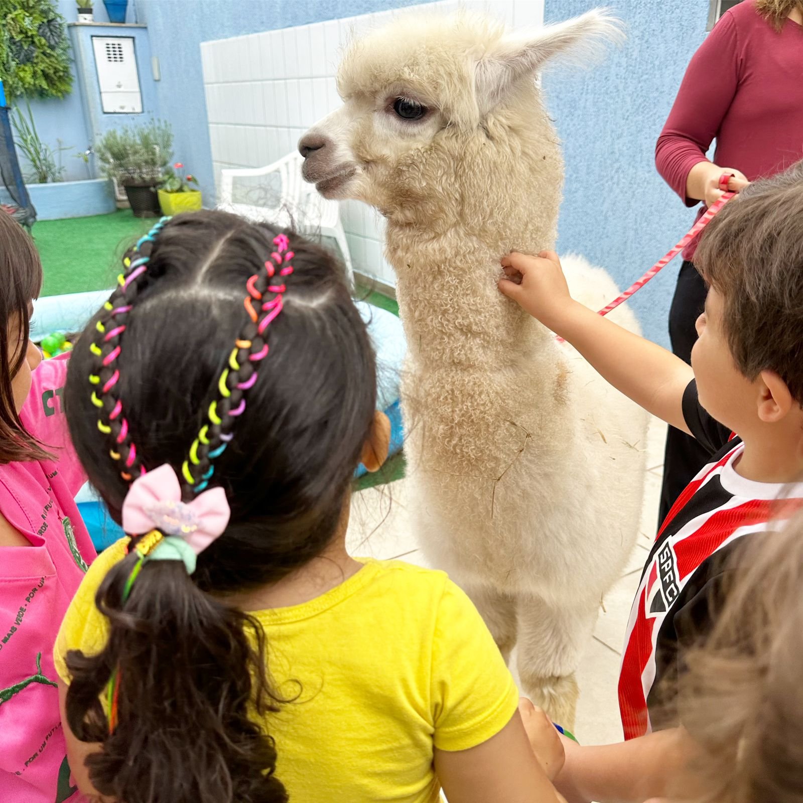 WhatsApp Image 2024-05-14 at 18.06.23