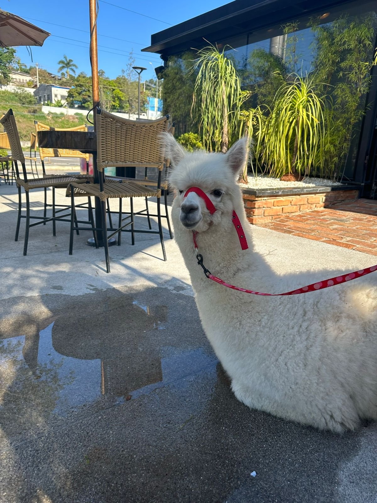 WhatsApp Image 2024-05-14 at 18.06.25 (1)